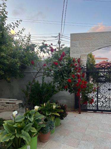 Salem Ayyash House in عجلون Salem Ayyash House in عجلون