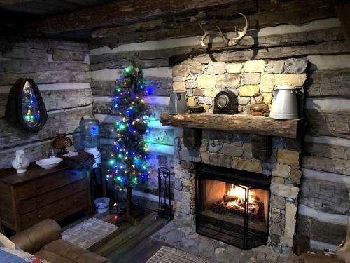 Pet-Friendly Cabin Rental in the Woods near Nauvoo, Illinois in Keokuk (Iowa) Pet-Friendly Cabin Rental in the Woods near Nauvoo, Illinois in Keokuk (Iowa)