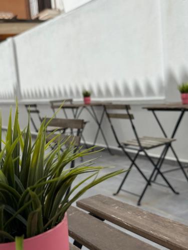 Habitación Triple con baño compartido SEVILLA DELUXE LOS ROSALES (Habitacion Triple con bano compartido SEVILLA DELUXE LOS ROSALES) in Tocina Habitación Triple con baño compartido SEVILLA DELUXE LOS ROSALES (Habitacion Triple con bano compartido SEVILLA DELUXE LOS ROSALES) in Tocina