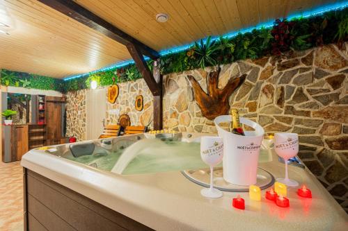 Gyógyfürdő, Wellness Apartment Medusa in Straz Pod Ralskem Gyógyfürdő, Wellness Apartment Medusa in Straz Pod Ralskem