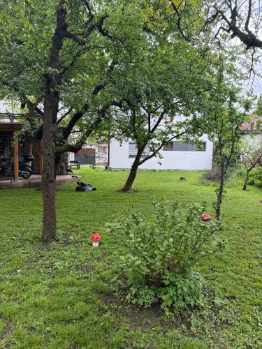 Apartments and Rooms MN, Konjic in Konjic Apartments and Rooms MN, Konjic in Konjic