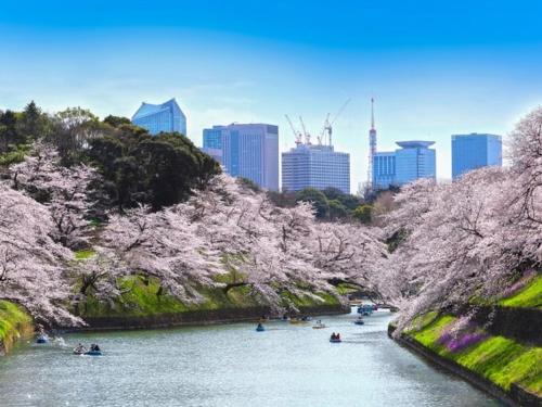 Nearby attraction, APA Hotel Suidobashi Ekimae in Tokyo Dome Neighborhood Nearby attraction, APA Hotel Suidobashi Ekimae in Tokyo Dome Neighborhood