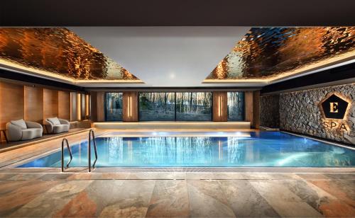 Spa, Hotel ELEMENTS Tatranska Lomnica in 塔查斯卡 Spa, Hotel ELEMENTS Tatranska Lomnica in 塔查斯卡