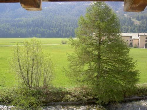 This photo about Apartment Traunter Ovas shared on HyHotel.com