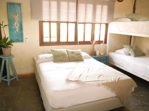 Guacuco Living in El Hato Guacuco Living in El Hato