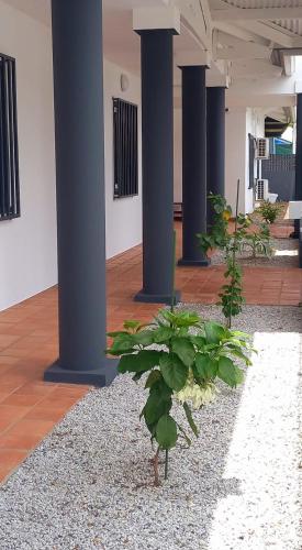 Hôtel Ballahou (Hotel Ballahou) in Kourou Hôtel Ballahou (Hotel Ballahou) in Kourou