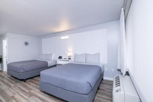 Hotel Room Near Disney 4 People