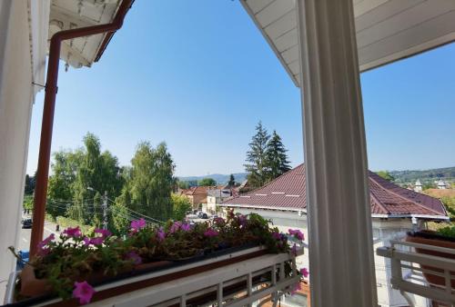 Pensiunea Geostar in Curtea De Arges Pensiunea Geostar in Curtea De Arges