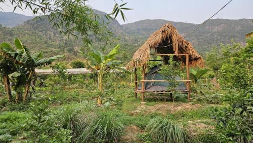 Sai Nam Ngoi Organic Farm and Camping in Ngojo apygarda Sai Nam Ngoi Organic Farm and Camping in Ngojo apygarda