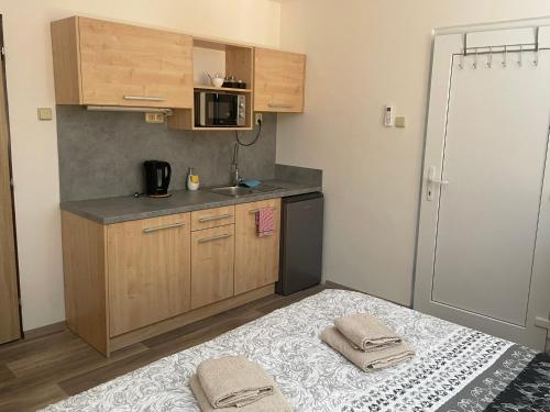 Konyha, Apartmán u Dejva Zaječí (Apartman u Dejva Zajeci) in Zajeci Konyha, Apartmán u Dejva Zaječí (Apartman u Dejva Zajeci) in Zajeci