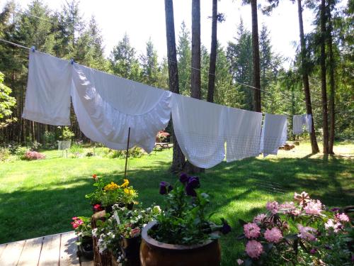 This photo about Cedar Song Cottage shared on HyHotel.com