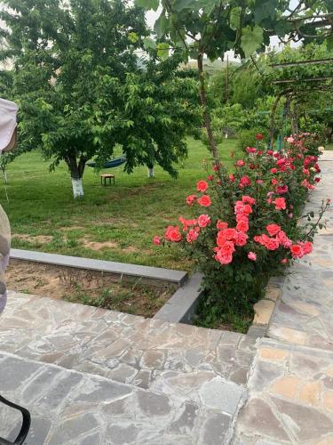Kert, Adams Rest House in Yeghegnadzor Kert, Adams Rest House in Yeghegnadzor