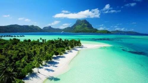 B & Bee Wild Island - Nature Song in Huahine Island B & Bee Wild Island - Nature Song in Huahine Island