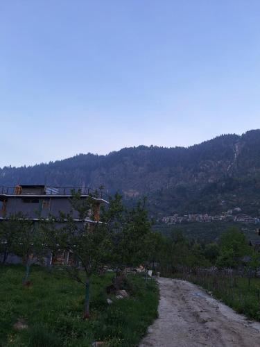 View, deja view orchard, old manali in Majach View, deja view orchard, old manali in Majach