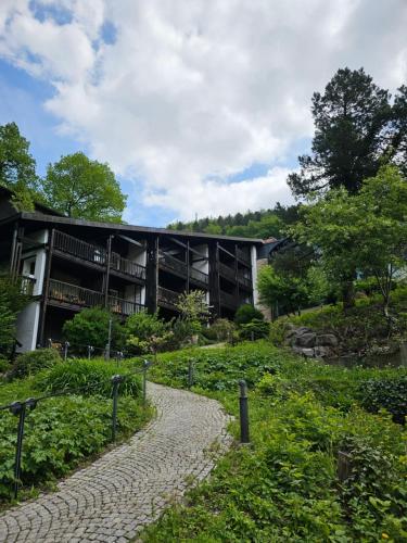 حديقة, Parkhotel Wehrle in Triberg Town Center حديقة, Parkhotel Wehrle in Triberg Town Center