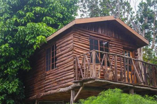 Cozy Treehouse - Saint Ann's Bay, Jamaica Adventure in 聖安灣 Cozy Treehouse - Saint Ann's Bay, Jamaica Adventure in 聖安灣