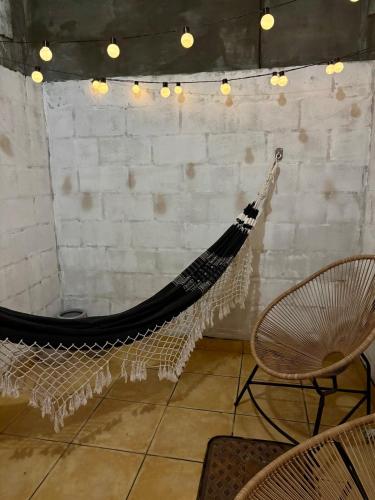 Botanic Garden House in Jardim Botanico Botanic Garden House in Jardim Botanico