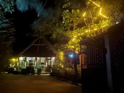 Elite Backpackers Services in Masaka Elite Backpackers Services in Masaka