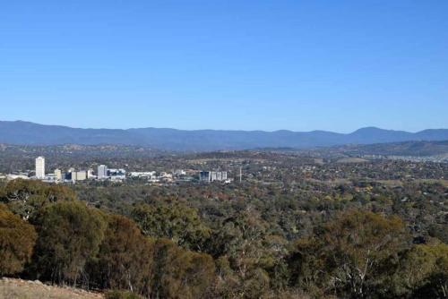 Peaceful Private Studio in Beautiful Bush Setting in Red Hill Peaceful Private Studio in Beautiful Bush Setting in Red Hill
