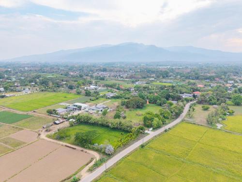 Cozy pool villa, rice field & flower farm CNX in San Phe Suea Cozy pool villa, rice field & flower farm CNX in San Phe Suea