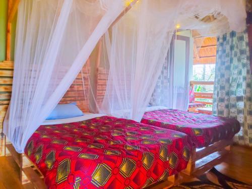 Elite Backpackers Services in Masaka Elite Backpackers Services in Masaka