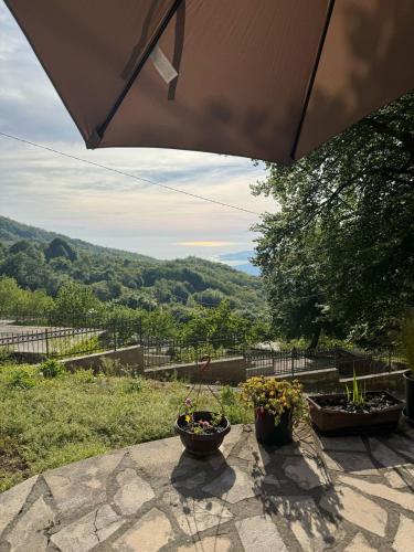 Nature Escape Montenegro in كوتور Nature Escape Montenegro in كوتور