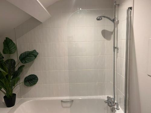 Fürdőszoba, Large Modern Apt 4 Star Free Parking and WIFI Note Stairs in Bellevue Fürdőszoba, Large Modern Apt 4 Star Free Parking and WIFI Note Stairs in Bellevue