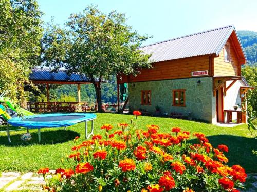 Kraljska koliba - Kralje's Cottage in Andrijevica Kraljska koliba - Kralje's Cottage in Andrijevica