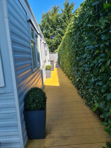 Glampavan in Binstead and Fishbourne Glampavan in Binstead and Fishbourne