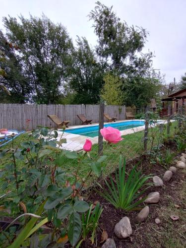 Cabanas Los Tortolitos del Torreon in El Torreón Cabanas Los Tortolitos del Torreon in El Torreón