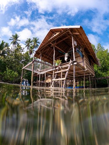 Mansuar Raja Ampat Bungalows in Raja Ampat Mansuar Raja Ampat Bungalows in Raja Ampat