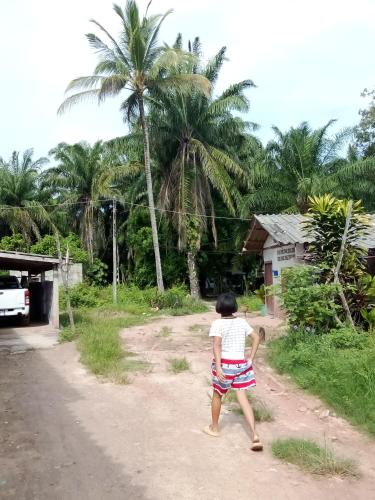 Happy Palm House in Huai Nam Khao Happy Palm House in Huai Nam Khao