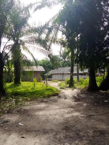 Happy Palm House in Huai Nam Khao Happy Palm House in Huai Nam Khao