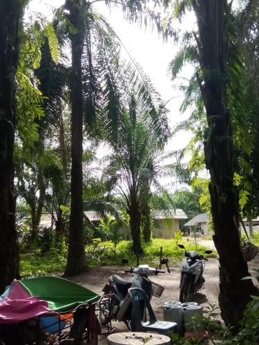 Happy Palm House in Huai Nam Khao Happy Palm House in Huai Nam Khao