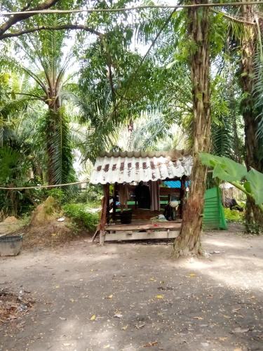 Happy Palm House in Huai Nam Khao Happy Palm House in Huai Nam Khao