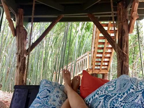 Cozy Alpaca Tree House Rental in the Bamboo Forest in Atlanta, Georgia in East Atlanta Cozy Alpaca Tree House Rental in the Bamboo Forest in Atlanta, Georgia in East Atlanta