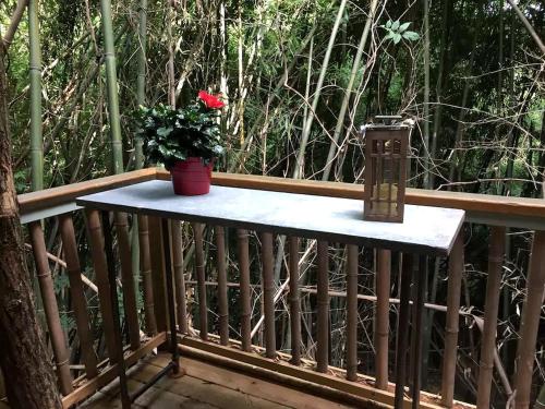 Cozy Alpaca Tree House Rental in the Bamboo Forest in Atlanta, Georgia in East Atlanta Cozy Alpaca Tree House Rental in the Bamboo Forest in Atlanta, Georgia in East Atlanta