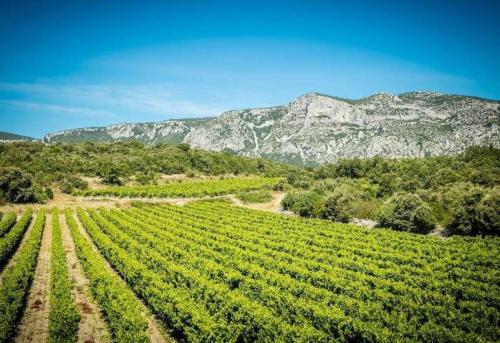 Bergerie du pic saint-loup in Ganges Bergerie du pic saint-loup in Ganges
