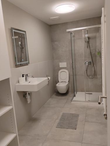 Tashev apartment 2 in Zagorje ob Savi Tashev apartment 2 in Zagorje ob Savi
