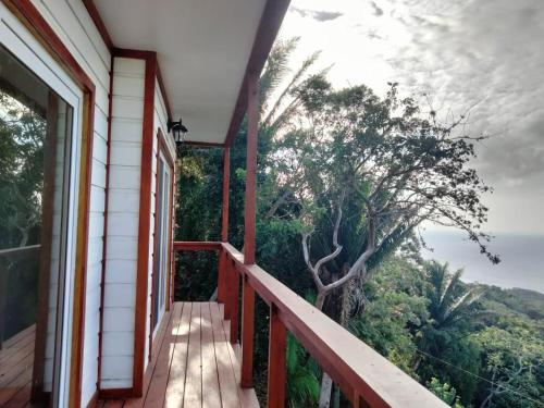 Oasis by Tres Flores in Palmetto Bay Oasis by Tres Flores in Palmetto Bay