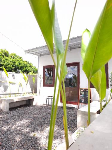 Nourriture et boissons, Mayeka Transit Hostel Bandara Internasional Lombok in Praya Nourriture et boissons, Mayeka Transit Hostel Bandara Internasional Lombok in Praya