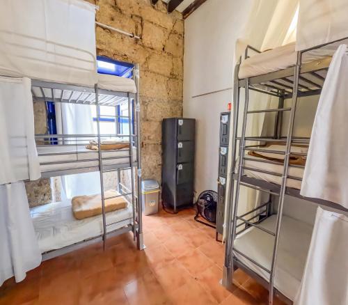 Ashavana Nest Hostel in Tenerife Ashavana Nest Hostel in Tenerife