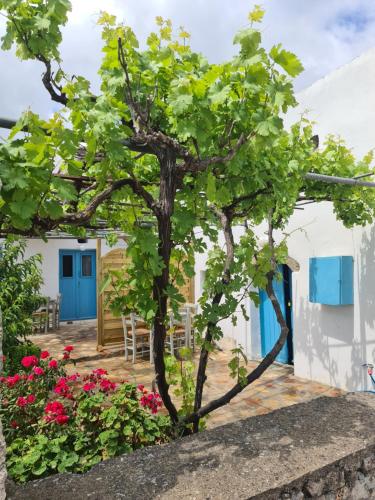 المنظر الخارجي, Kamaraki Aroniadika in Aroniadika المنظر الخارجي, Kamaraki Aroniadika in Aroniadika