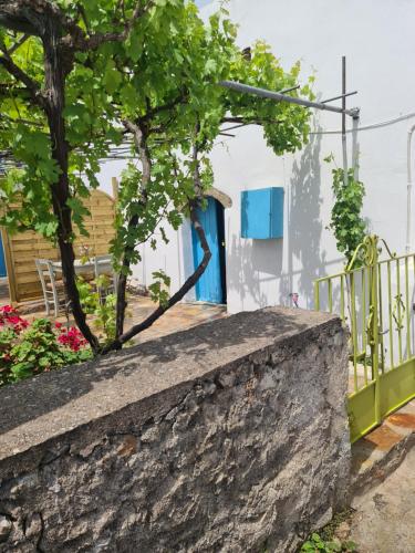 المنظر الخارجي, Kamaraki Aroniadika in Aroniadika المنظر الخارجي, Kamaraki Aroniadika in Aroniadika