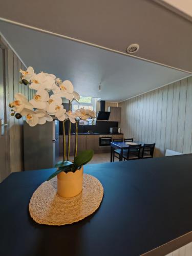 l'Orchidée - 100m Naval group - 5mn de l'espace Carat (l'Orchidee - 100m Naval group - 5mn de l'espace Carat) in Magnac Sur Touvre l'Orchidée - 100m Naval group - 5mn de l'espace Carat (l'Orchidee - 100m Naval group - 5mn de l'espace Carat) in Magnac Sur Touvre