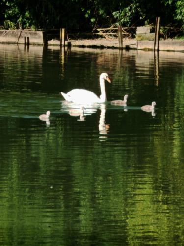 l'Orchidée - 100m Naval group - 5mn de l'espace Carat (l'Orchidee - 100m Naval group - 5mn de l'espace Carat) in Magnac Sur Touvre l'Orchidée - 100m Naval group - 5mn de l'espace Carat (l'Orchidee - 100m Naval group - 5mn de l'espace Carat) in Magnac Sur Touvre