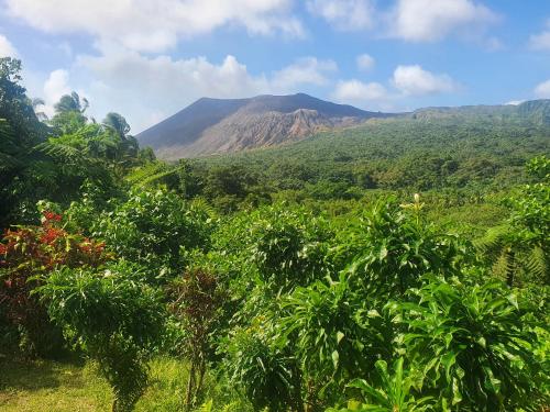 Bird view bungalows in Santo Bird view bungalows in Santo