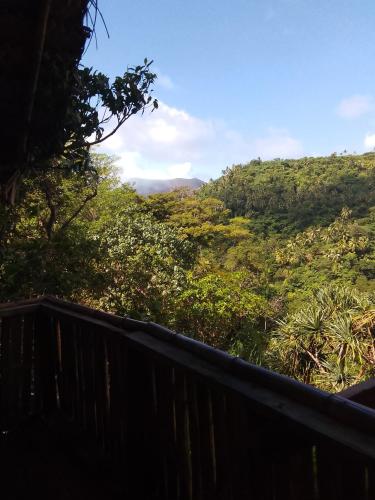 Bird view bungalows in Santo Bird view bungalows in Santo
