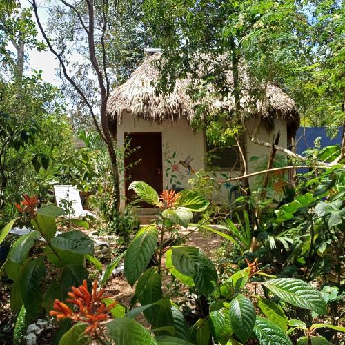 Mayan Bungalow Near Chichen in Чичен-Іца Mayan Bungalow Near Chichen in Чичен-Іца