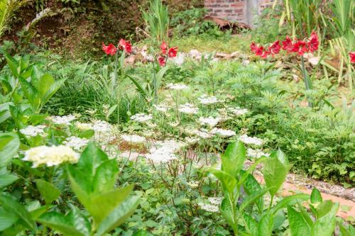 puutarha, Ta Phin Ho Resort in Nam Pi puutarha, Ta Phin Ho Resort in Nam Pi